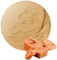 Caramel Roomijs